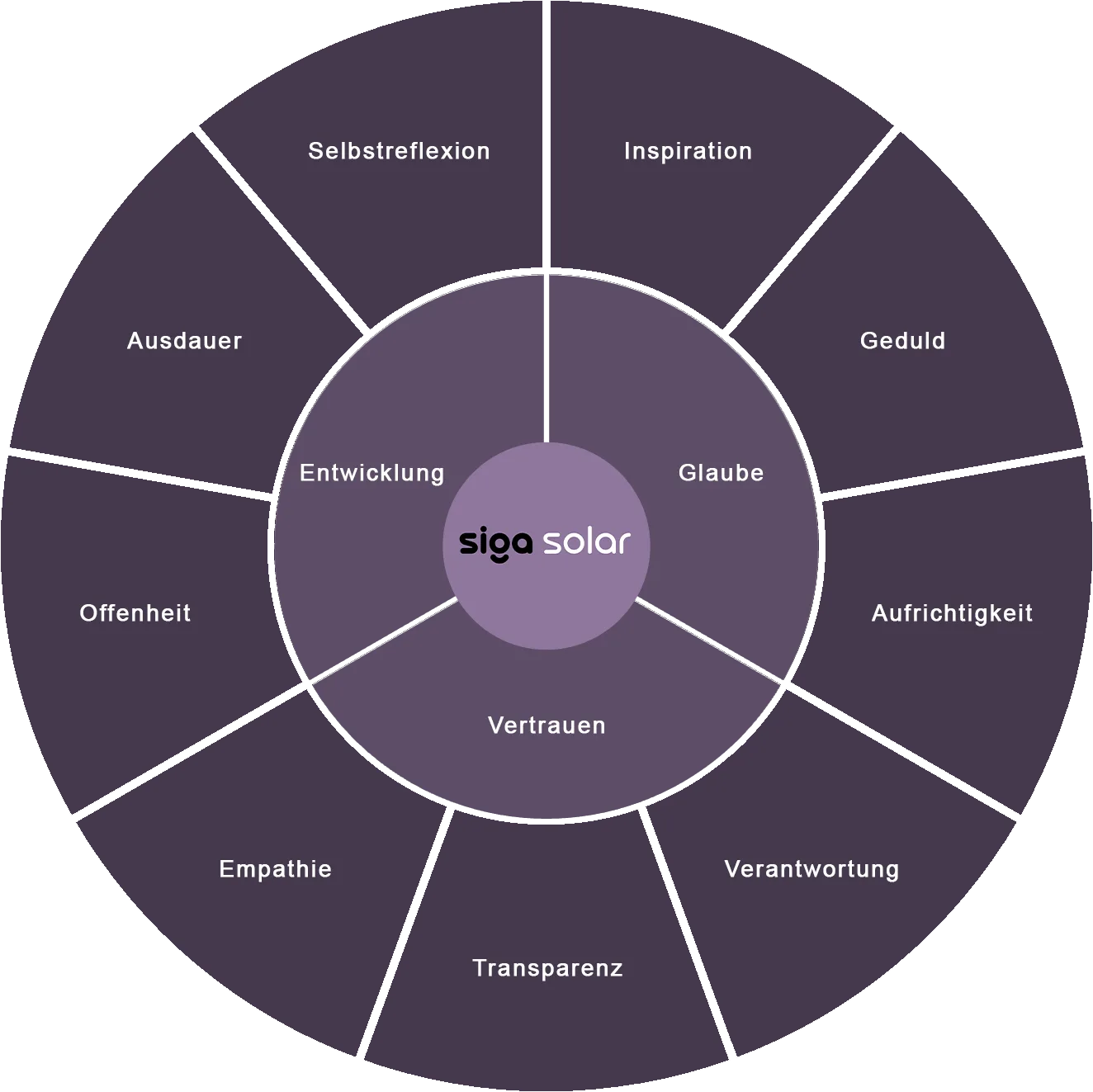 Business Values of SIGA Solar shown as Pie-Chart